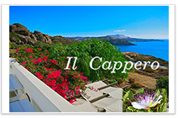 Il Cappero Provatas Il Cappero logo